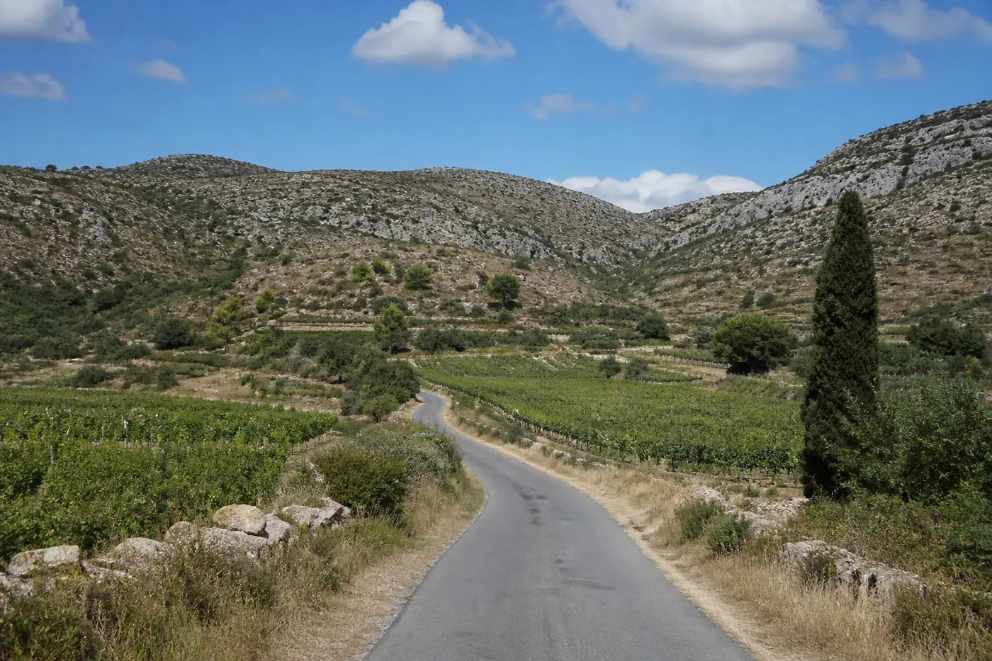 Une route départementale étroite serpentant entre les vignes et la garrigue des Corbières, vers les collines calcaires